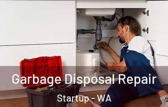  Garbage Disposal Repair Startup - WA