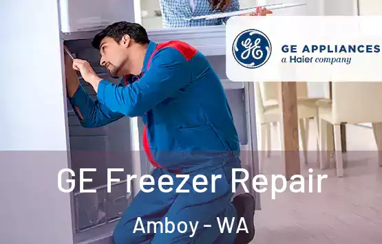  GE Freezer Repair Amboy - WA