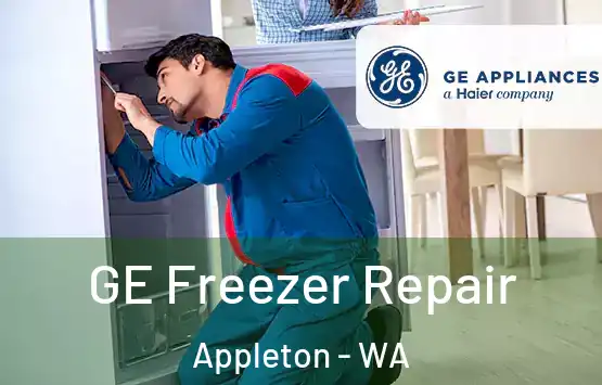  GE Freezer Repair Appleton - WA