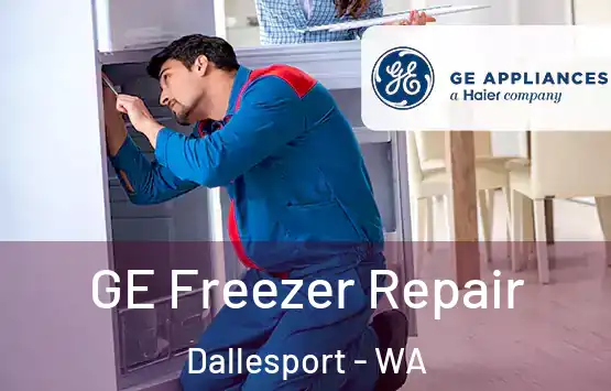  GE Freezer Repair Dallesport - WA