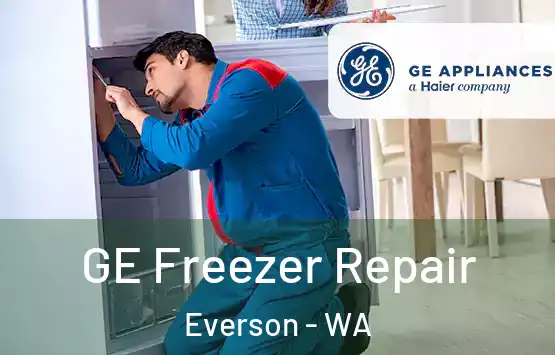 GE Freezer Repair Everson - WA