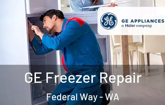  GE Freezer Repair Federal Way - WA