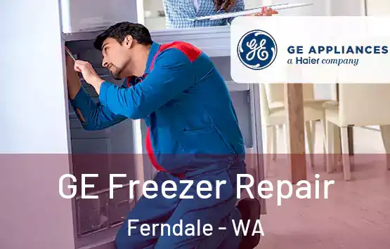  GE Freezer Repair Ferndale - WA