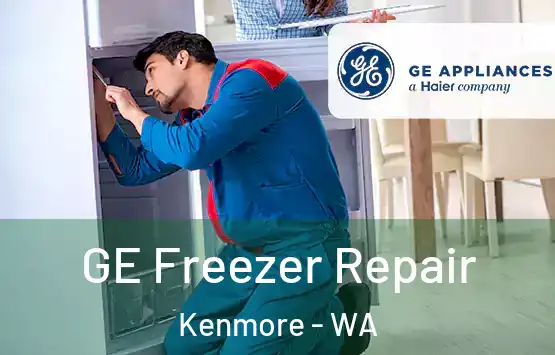  GE Freezer Repair Kenmore - WA