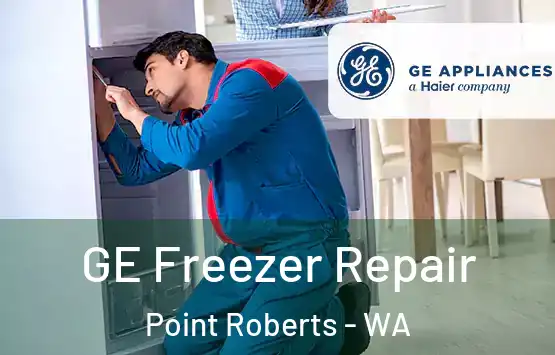  GE Freezer Repair Point Roberts - WA