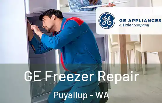  GE Freezer Repair Puyallup - WA