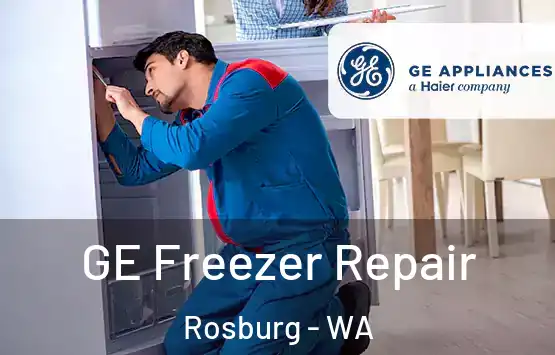  GE Freezer Repair Rosburg - WA