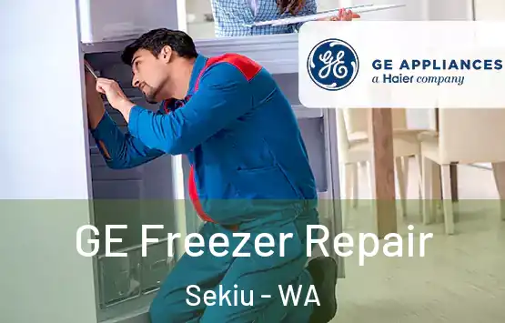  GE Freezer Repair Sekiu - WA