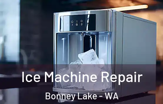  Ice Machine Repair Bonney Lake - WA