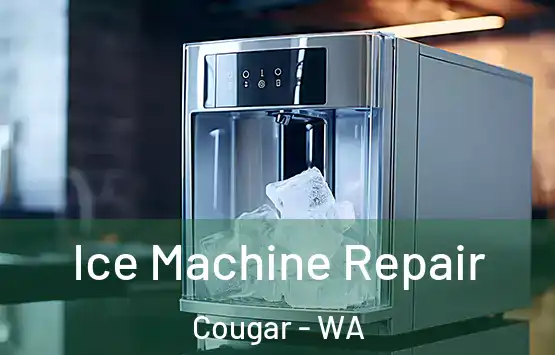  Ice Machine Repair Cougar - WA