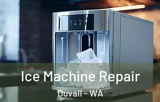  Ice Machine Repair Duvall - WA