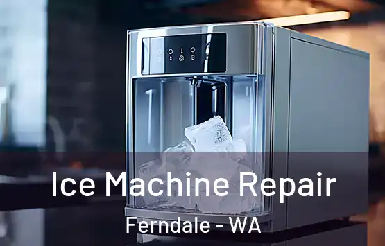 Ice Machine Repair Ferndale - WA