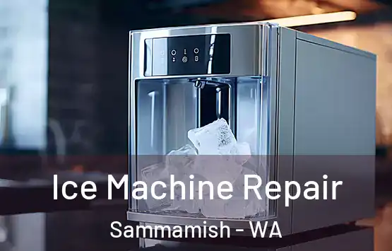  Ice Machine Repair Sammamish - WA