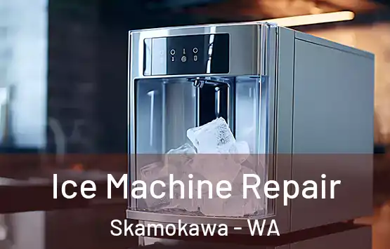  Ice Machine Repair Skamokawa - WA