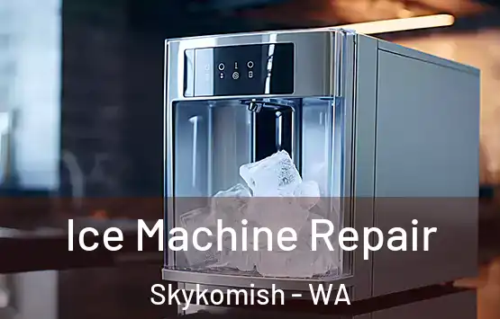  Ice Machine Repair Skykomish - WA
