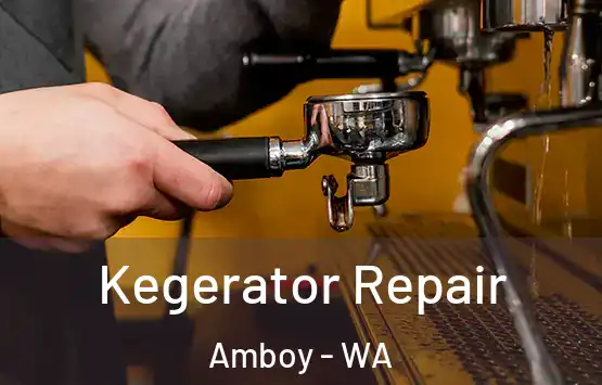  Kegerator Repair Amboy - WA