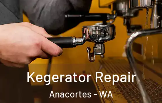  Kegerator Repair Anacortes - WA