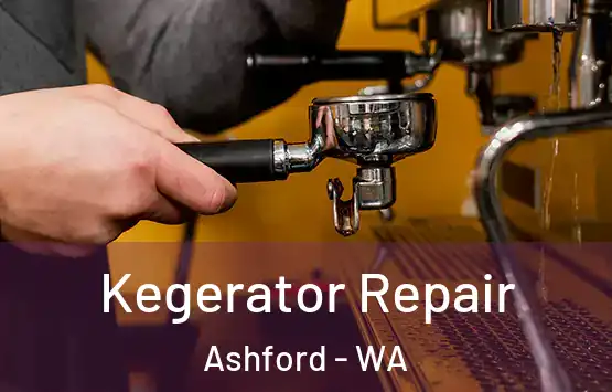  Kegerator Repair Ashford - WA