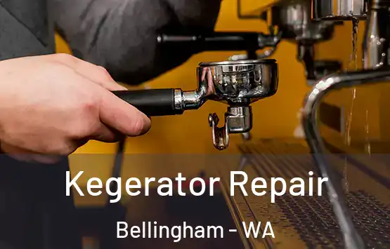  Kegerator Repair Bellingham - WA