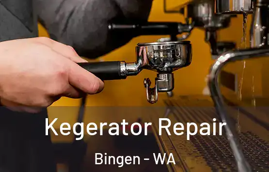  Kegerator Repair Bingen - WA