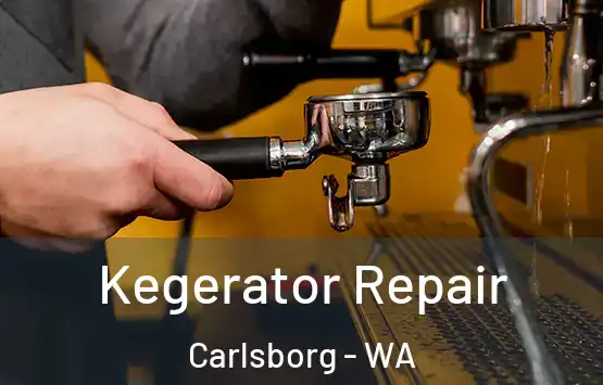  Kegerator Repair Carlsborg - WA
