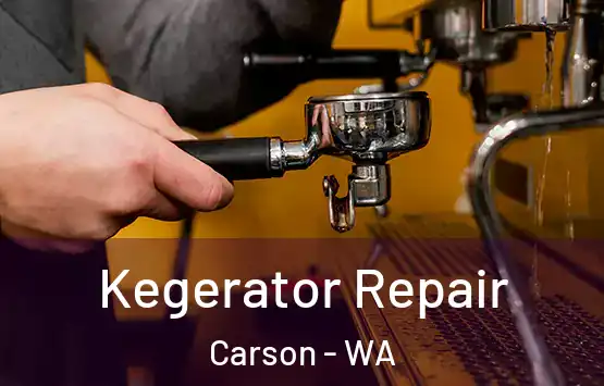  Kegerator Repair Carson - WA