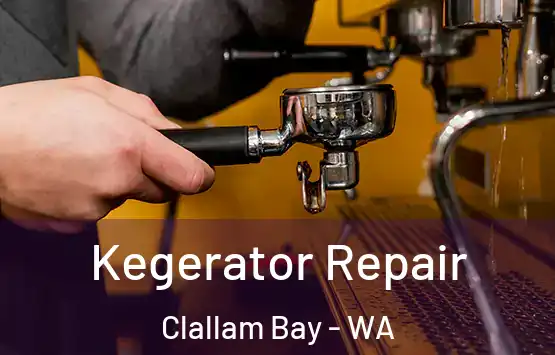  Kegerator Repair Clallam Bay - WA