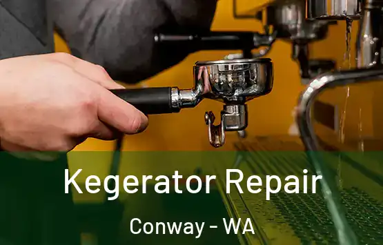  Kegerator Repair Conway - WA