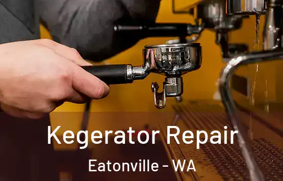  Kegerator Repair Eatonville - WA