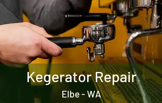  Kegerator Repair Elbe - WA