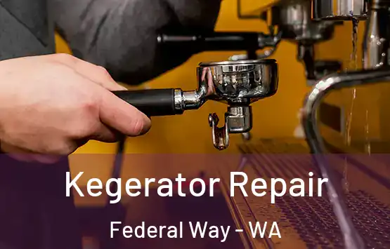  Kegerator Repair Federal Way - WA
