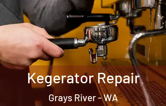  Kegerator Repair Grays River - WA