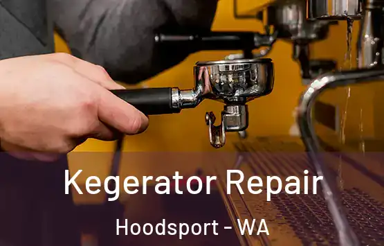 Kegerator Repair Hoodsport - WA