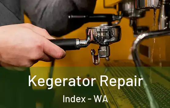  Kegerator Repair Index - WA