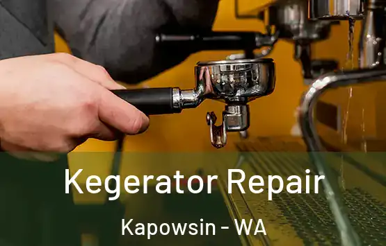  Kegerator Repair Kapowsin - WA