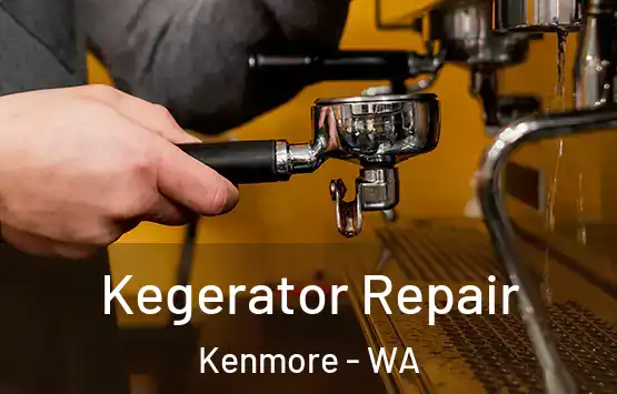  Kegerator Repair Kenmore - WA