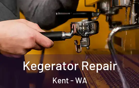  Kegerator Repair Kent - WA