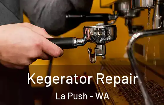  Kegerator Repair La Push - WA