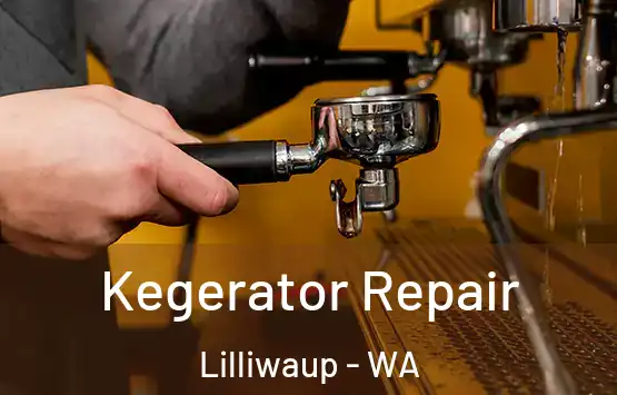  Kegerator Repair Lilliwaup - WA