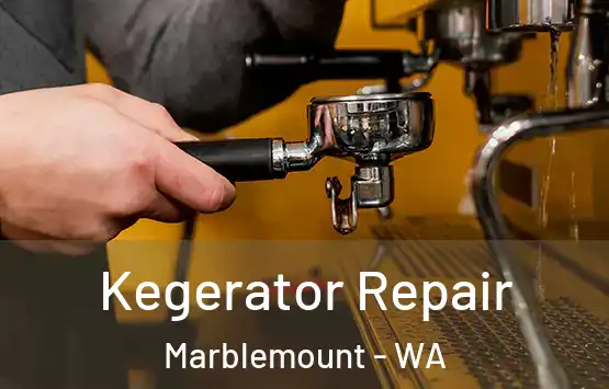  Kegerator Repair Marblemount - WA