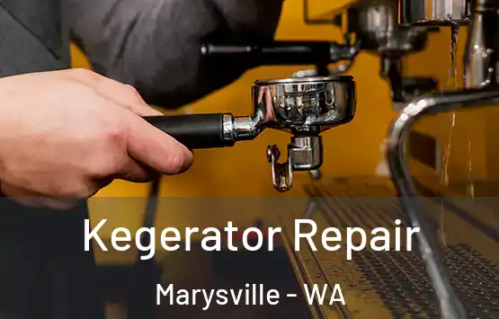 Kegerator Repair Marysville - WA