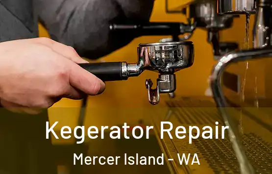  Kegerator Repair Mercer Island - WA