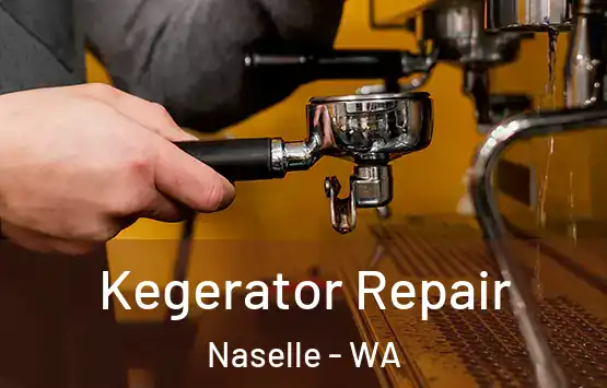  Kegerator Repair Naselle - WA