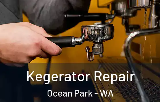 Kegerator Repair Ocean Park - WA