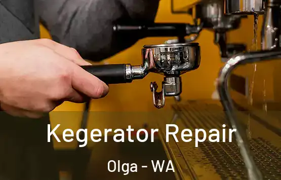  Kegerator Repair Olga - WA