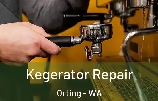  Kegerator Repair Orting - WA