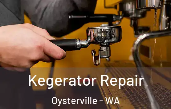  Kegerator Repair Oysterville - WA
