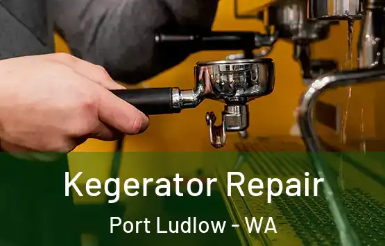  Kegerator Repair Port Ludlow - WA