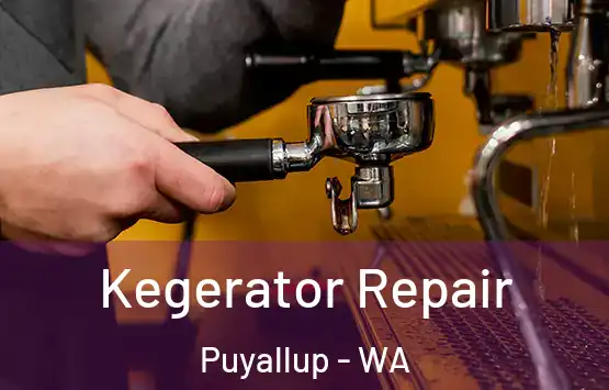  Kegerator Repair Puyallup - WA