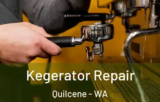  Kegerator Repair Quilcene - WA